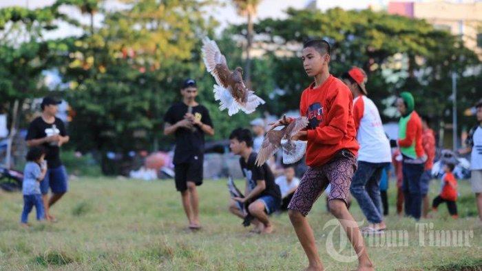 BERITA FOTO: MBS Makassar Latih Ketangkasan Burung Merpati - burung-merpati.jpg