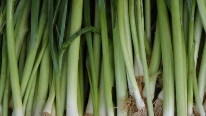 Tak Perlu Minum Susu Kalsium, Cukup Pakai Daun Bawang untuk Tulangmu