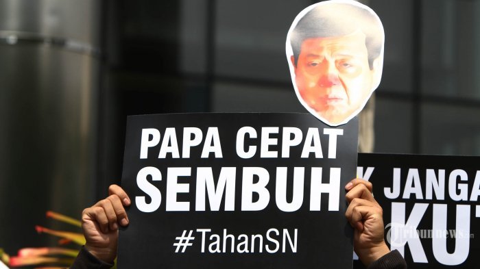 Setya Novanto Menang Lawan KPK, Status Pencekalan ke Luar Negeri Ternyata Belum Dicabut