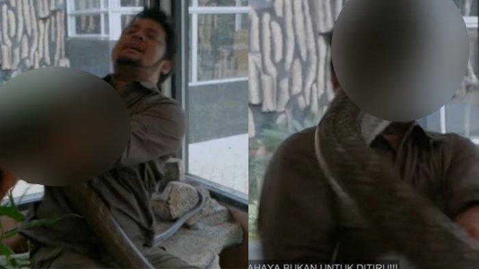 Detik-detik Wajah Panji Petualang Nyaris Dipatuk Ular King Kobra, Merinding Lihat Videonya!
