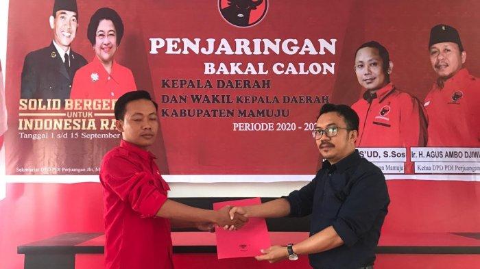 Bakal Calon Bupati Mamuju Ramai-ramai Mendaftar di PDI Perjuangan