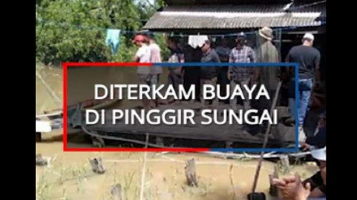 KRONOLOGI Gadis Kalimantan Diterkam Hidup-hidup Buaya saat Mandi di Sungai, Korban Sempat Teriak