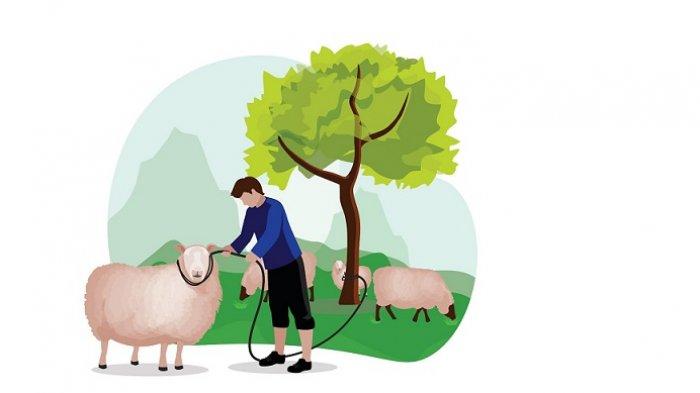 Kenapa Dilarang Puasa 3 Hari Setelah Idul Adha atau Hari Tasyrik? Amalan Lain yang Bisa Dikerjakan