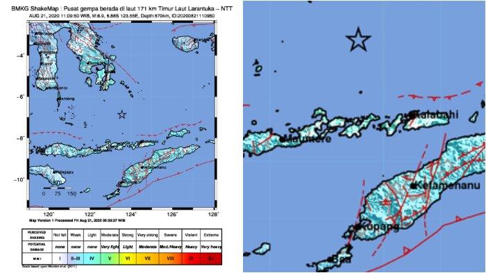 BMKG: Gempa Bumi 6,9 SR di Larantuka NTT Tak Berpotensi Tsunami, Tips Selamatkan Diri