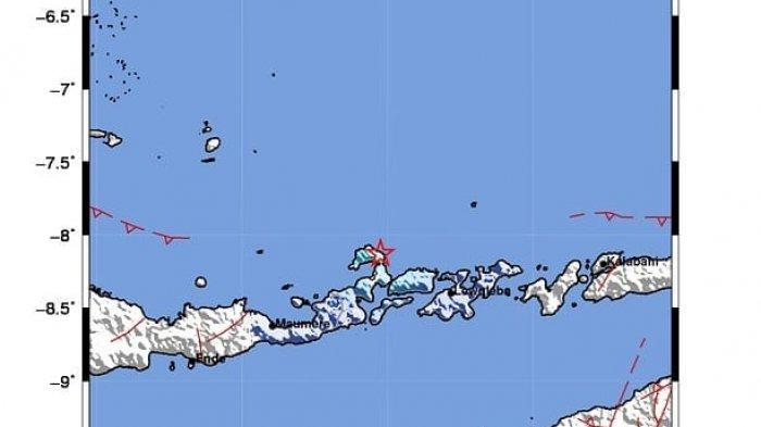 Gempa Hari ini- Flores Timur Diguncang 4,5 Magnitudo, BMKG Sebut Akibat Sesar Flores Back Arc Thrust