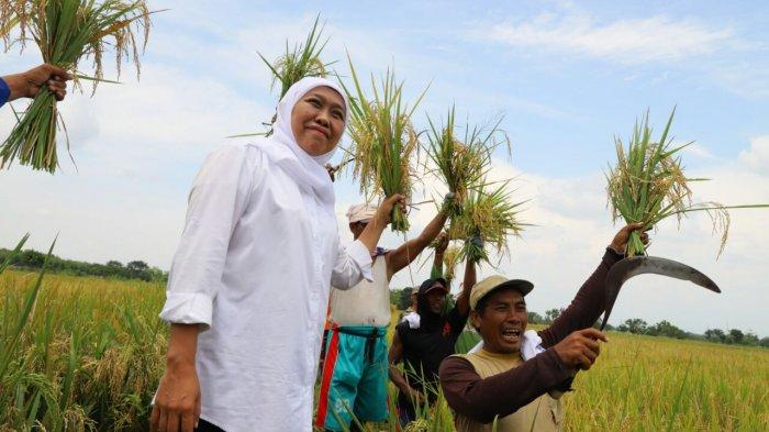 Gubernur Jatim Khofifah Indar Parawansa: Ini Strategi Amankan Stok Pangan Hadapi Dampak Covid-19