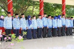 Sekda Imbau ASN Tingkatkan Pelayanan Profesional