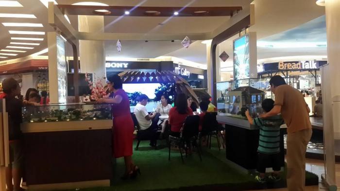 Insignia Tawarkan Cash Bertahan 0 Persen Selama 12 Bulan