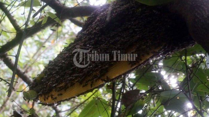 Susah Cari Nafkah di Masa Pandemi Covid-19, Ini 8 Peluang Usaha Bisa Anda Coba
