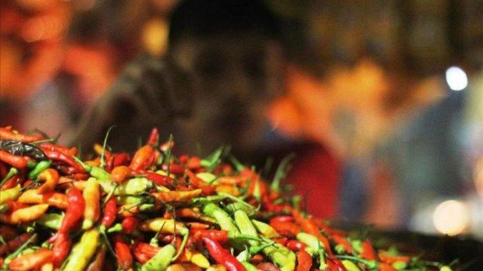 Kementerian Pertanian: Harga Cabai Akan Segera Pulih