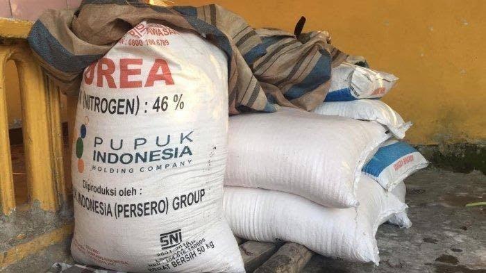 Wujudkan Cita-cita Swasembada Pangan, KTNA Minta Pupuk Bersubsidi Diawasi