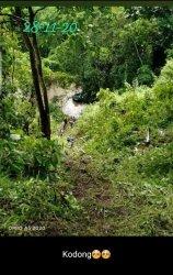 Berikut 8 Orang Tim Petahana Pilkada Mamuju Jadi Korban Kecelakaan di Kalumpang, 2 Meninggal Dunia