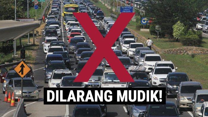 9 Fakta Jokowi Larang Mudik, Luhut: Jalan Tol Tak Ditutup, Anda Bisa Dipenjara, Mulai 1 Ramadhan