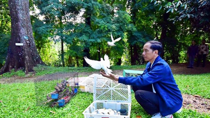 Indrisantika Kurniasari Hujat Jokowi Raja Kodok dan Pengen Saingi Raja Salman