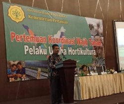 Kementan Tagih Komitmen Pelunasan Wajib Tanam Bawang Putih