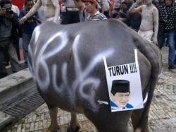 Pencetus Demo Kerbau