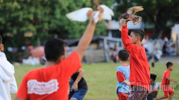 BERITA FOTO: MBS Makassar Latih Ketangkasan Burung Merpati - ketangkasan-burung-merpati.jpg