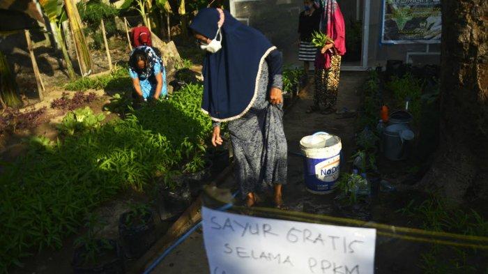 FOTO: Pemuda Gowa Berbagi Sayur Gratis Selama PPKM