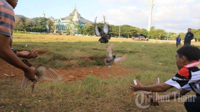 BERITA FOTO: MBS Makassar Latih Ketangkasan Burung Merpati - latihan-ketangkasan-burung-peliharaan.jpg