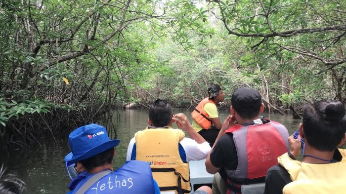Keren! Menyusuri Hutan Mangrove Bintan