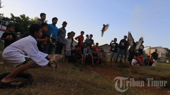 BERITA FOTO: MBS Makassar Latih Ketangkasan Burung Merpati - mbs-makassar.jpg