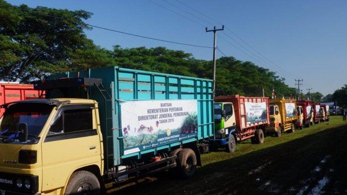 Kementan Gelontorkan Bantuan 5.000 Bibit Unggul Kelapa di Karawang
