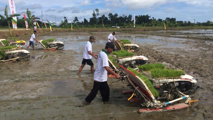 Data Pangan Satu Pintu di BPS