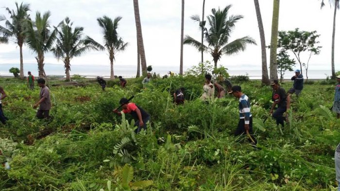 Kedes Balo-balo Minta Pemkab Luwu Timur Perhatikan Pantai di Desanya