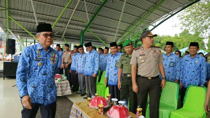 Taufan Pawe Terima Penghargaan Satyalancana Wita Karya dari Presiden