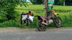 BPN Sidrap Siapkan 3.600 Sertifikat Gratis untuk Petani