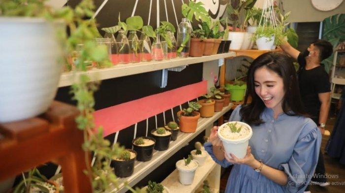 Hobi Tanaman Jadi Kekinian, Alasan Ida Noer Haris Hadirkan Nuansa Teras di Asokanori & Teras Coffee