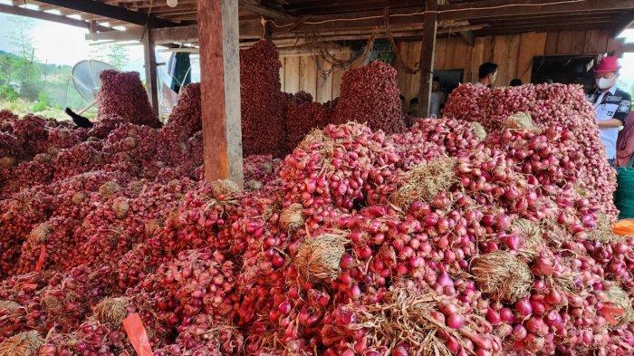 Jadi Pemasok Bawang Merah Terbesar, Enrekang Semakin Percaya Diri Suplai Jawa, Kalimantan dan Papua