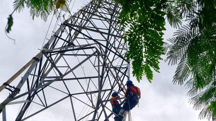 PLN Gerak Cepat Atasi Kritis Tower Transmisi di Jalur Wolo-Kolaka