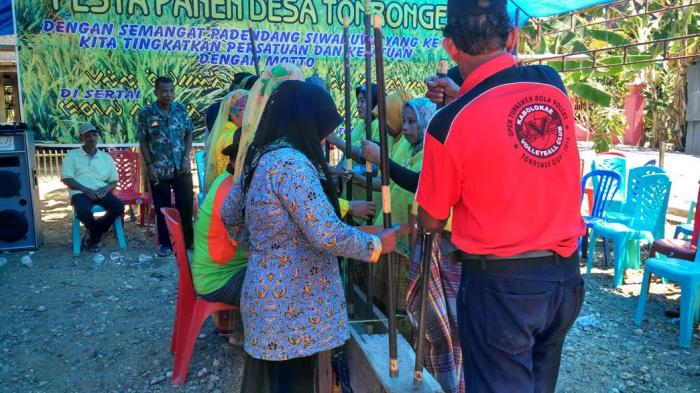 Hasil Panen Melimpah, Warga Tonrongnge Sidrap Gelar Pesta Panen