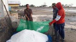 Stabilkan Harga, Koperasi Anugrah Bahari Serap Garam Warga Takalar