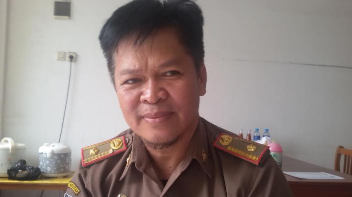 Pohon di Makassar Dilindungi