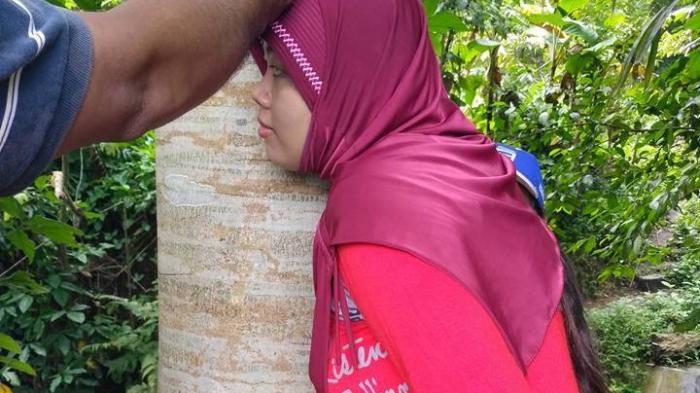 Ada Pohon Menangis di Magelang, Benarkah?