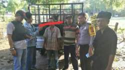 3 Pencuri Ternak di Bulukumba Dibekuk, Satunya Guru SD