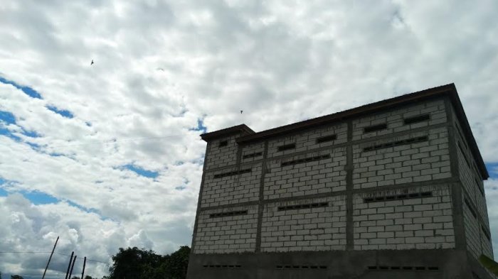 Bising, Usaha Sarang Burung Walet Resahkan Warga Lampenai Luwu Timur