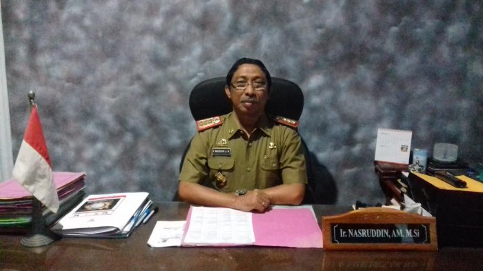 Pelantikan Kepala Desa di Barru Tunggu Persetujuan Kemendagri