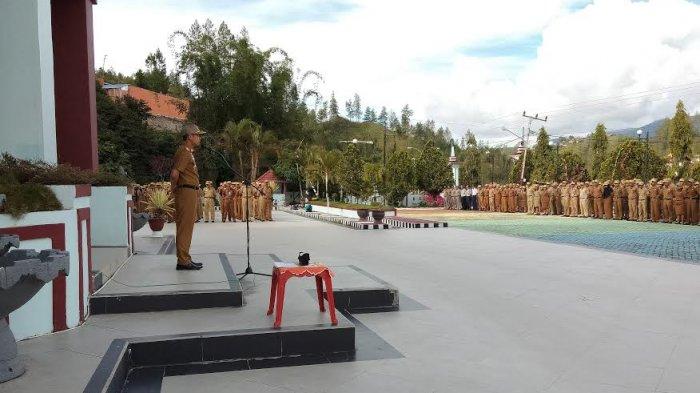 Pemda Mamasa Bakal Cetak Rekor Muri Pohon Natal Terbanyak, Sekda Minta Ini ke PNS