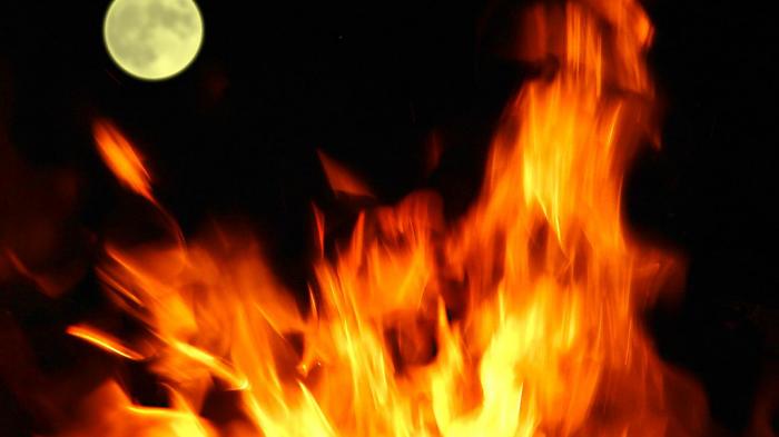 Tak Hanya Bermanfaat dalam Kehidupan Manusia, Ternyata Api Bisa Bantu Penyerbukan Tumbuhan