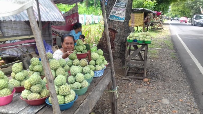 Jeneponto Lagi Musim Srikaya, di Ci'nong Murah Meriah - srikaya-34_20170129_214244.jpg