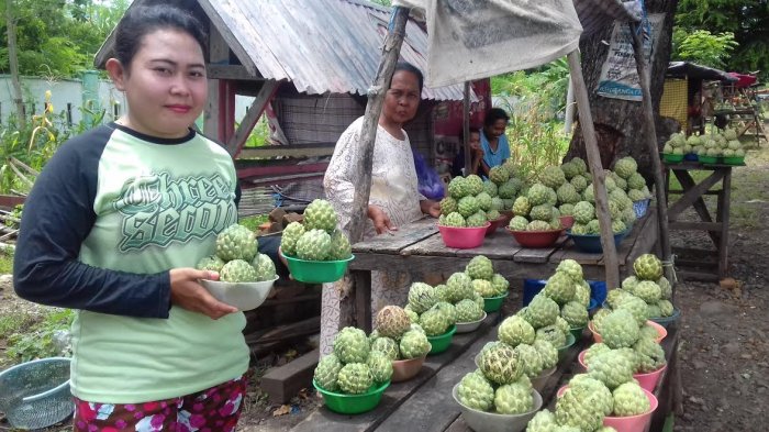 Jeneponto Lagi Musim Srikaya, di Ci'nong Murah Meriah - srikaya_20170129_214248.jpg