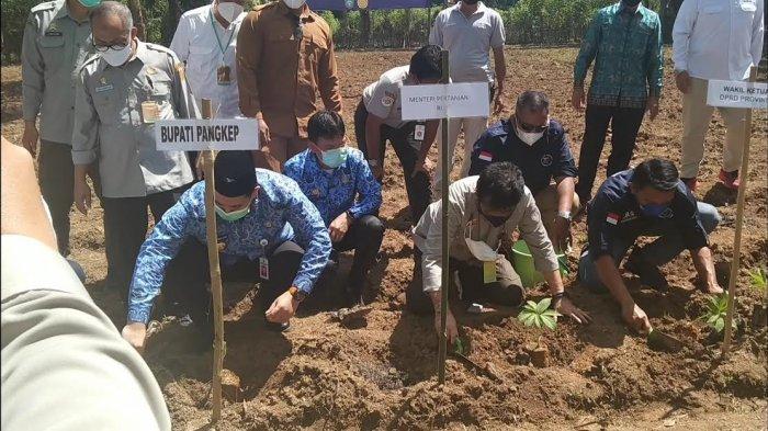SYL Siap Garap 1.000 Hektare Lahan untuk Penanaman Porang di Pangkep