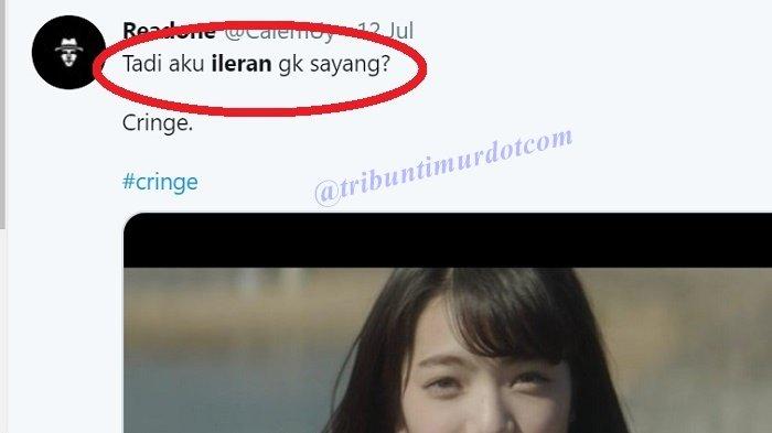 Tadi Aku Ileran Ga Sayang, Lagi Ramai di IG & Twitter, Penasaran? Ternyata Semua Berawal dari Sini