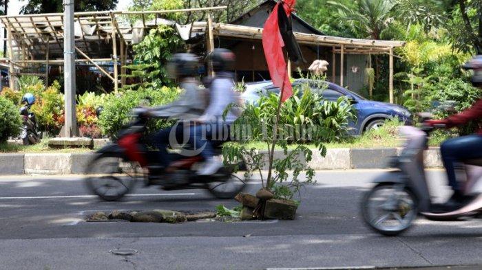 Protes, Warga Tanam Pohon di Tengah Jalan Urip Sumoharjo Makassar - tanamanjalan1.jpg