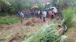 Tabrak Anjing, Mobil Avanza Terguling ke Kebun Warga di Bulukumba