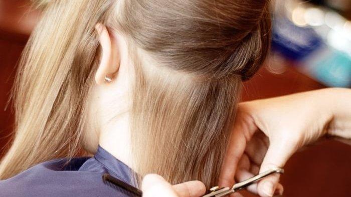 Tragedi Salah Potong Rambut, Salon Dituntut Ganti Rugi Rp 3,8 Miliar, Profesi Pelanggan Jadi Sorotan