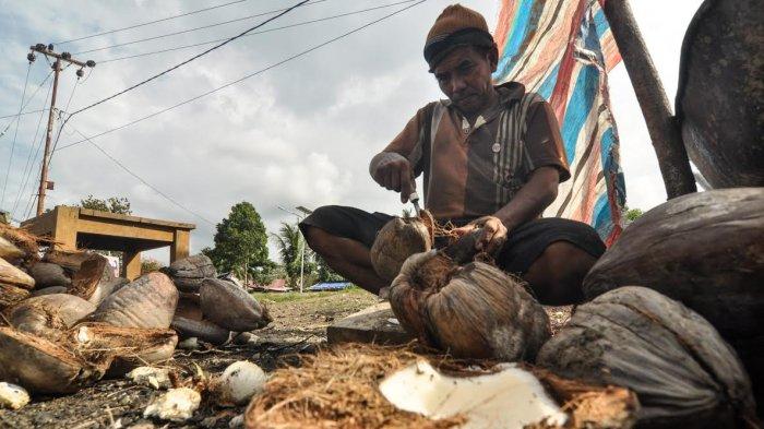 Empat Bulan Harga Kopra Anjlok, Petani Desa Simoro Sulteng Mengeluh